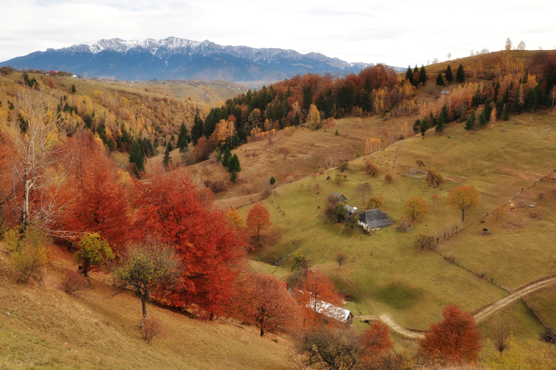 Red and golden trees across the Măgura valley, with a mountain ridge in the distance