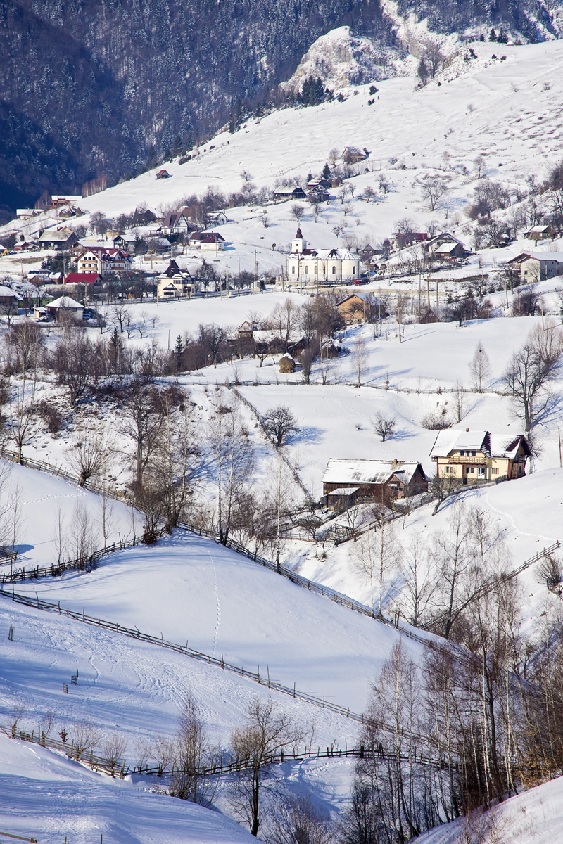 Scattered village houses across a snow-covered hillside beneath a forested mountain