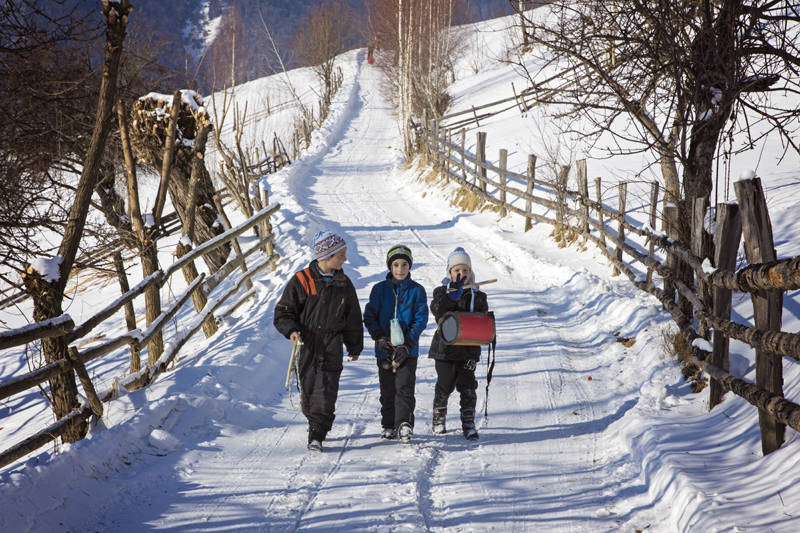 Three people walking towards the camera along a snowy lane between wooden fences