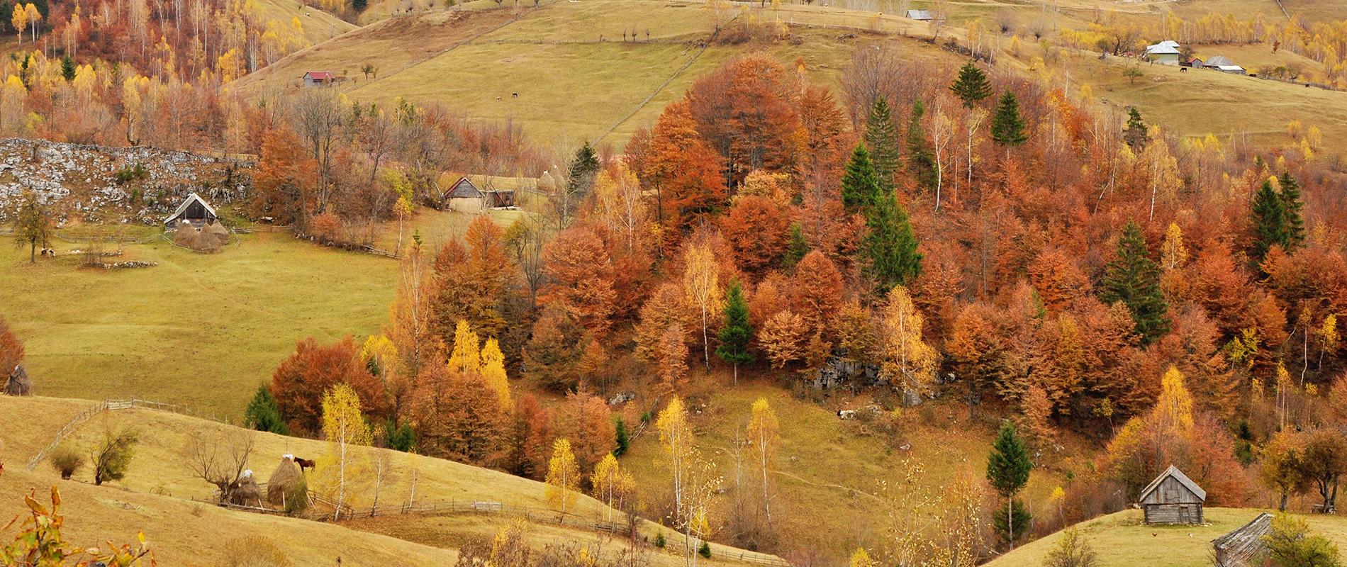 Autumn woods and meadows on the hills of Măgura