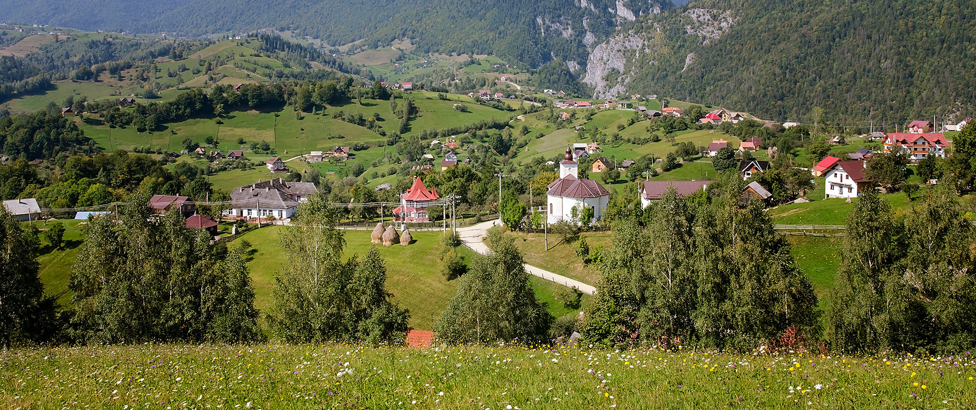The green valley and village of Măgura in summer